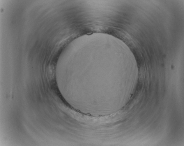 X0000088390043200706191343