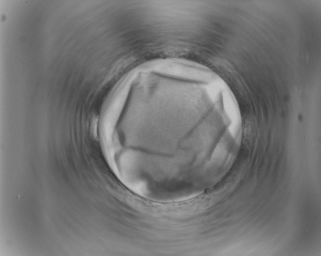 X0000088390046200706191343