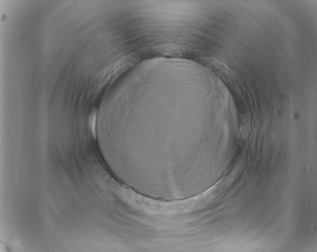 X0000088390047200706191343