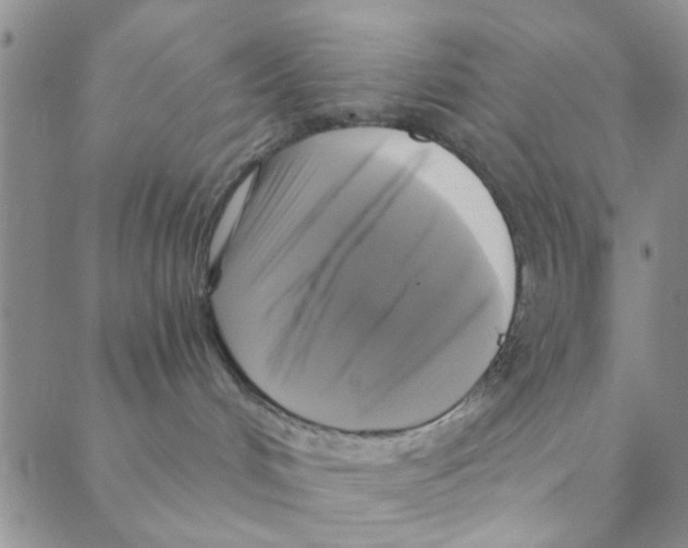 X0000088390048200706191343