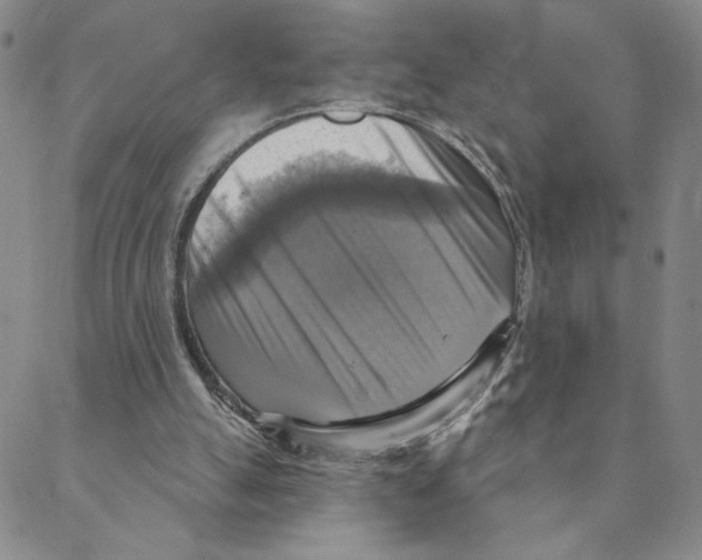 X0000088390055200706191343