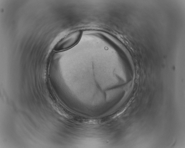 X0000088390056200706191343