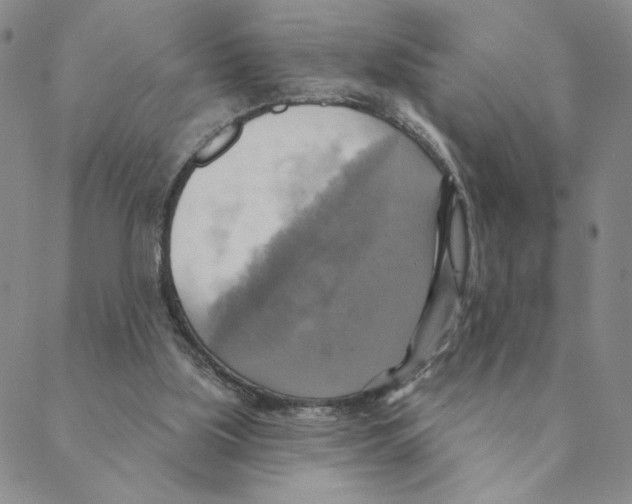 X0000088390059200706191343