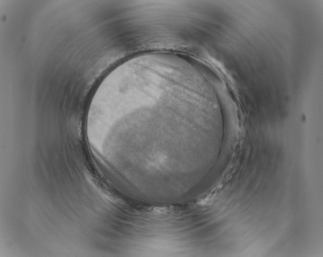 X0000088390060200706191343