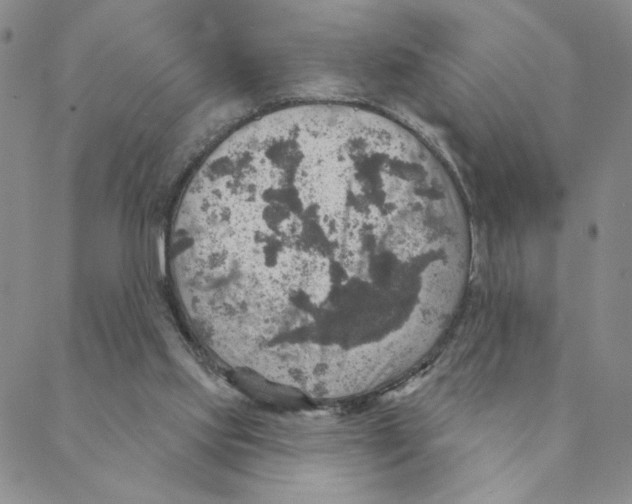 X0000088390061200706191343