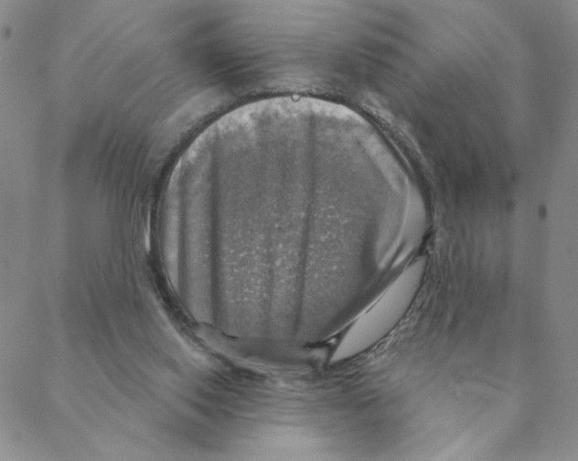 X0000088390062200706191343