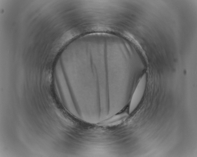 X0000088390063200706191343