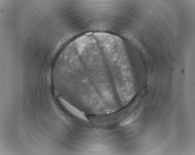 X0000088390064200706191343
