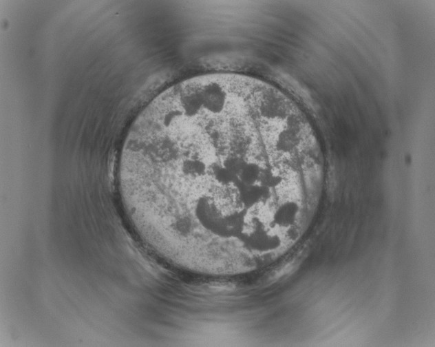 X0000088390065200706191343