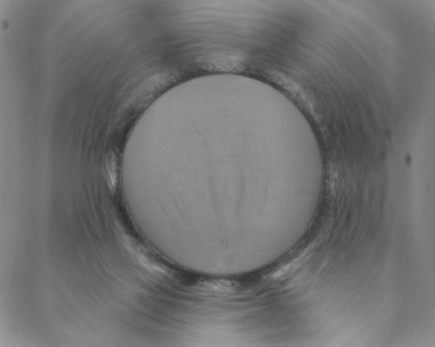 X0000088390069200706191343