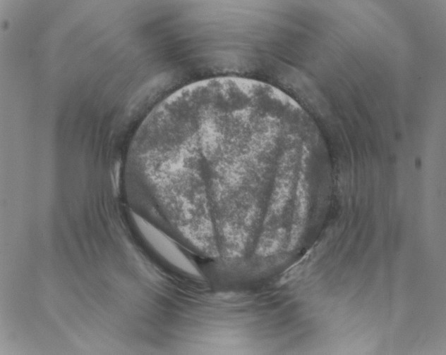 X0000088390070200706191343