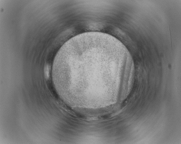 X0000088390075200706191343