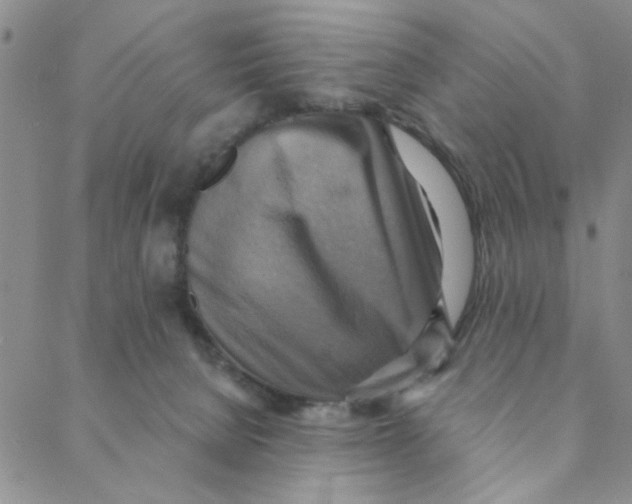 X0000088390080200706191343