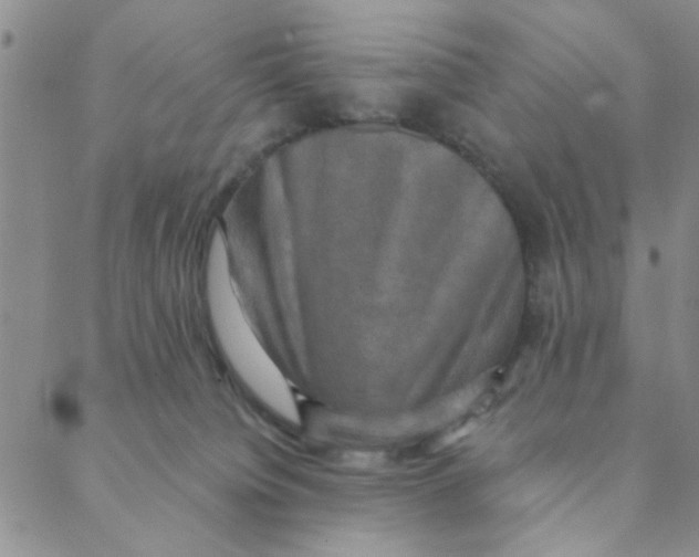 X0000088390084200706191343
