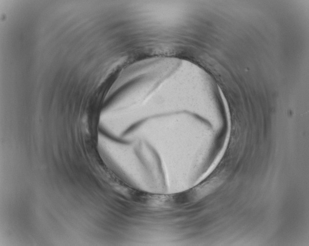X0000088390096200706191343