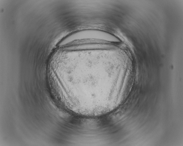 X0000088390107200706191342