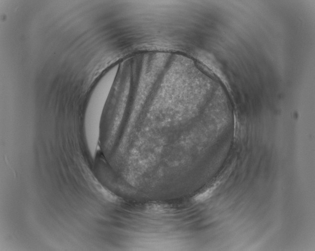 X0000088390109200706191342