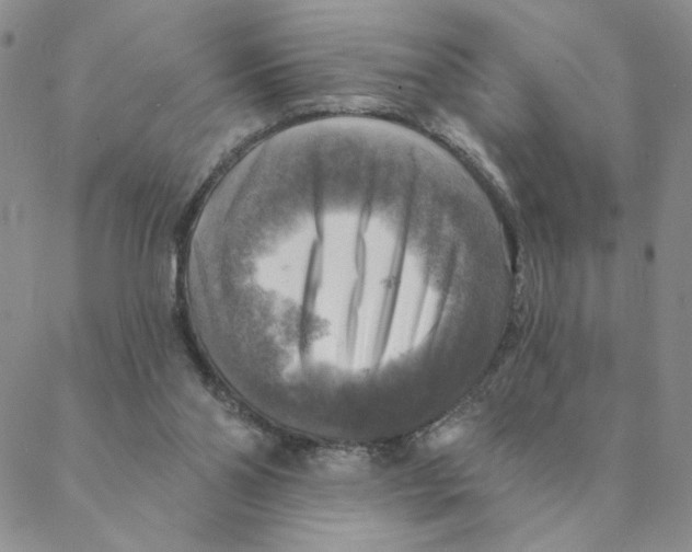 X0000088390110200706191342