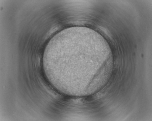 X0000088390120200706191342