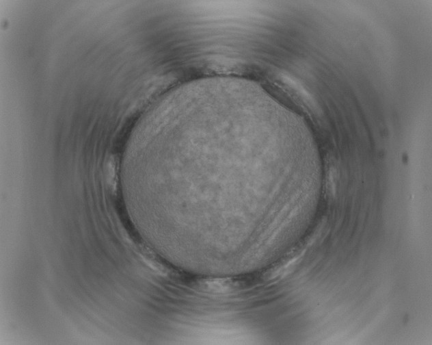 X0000088390121200706191342