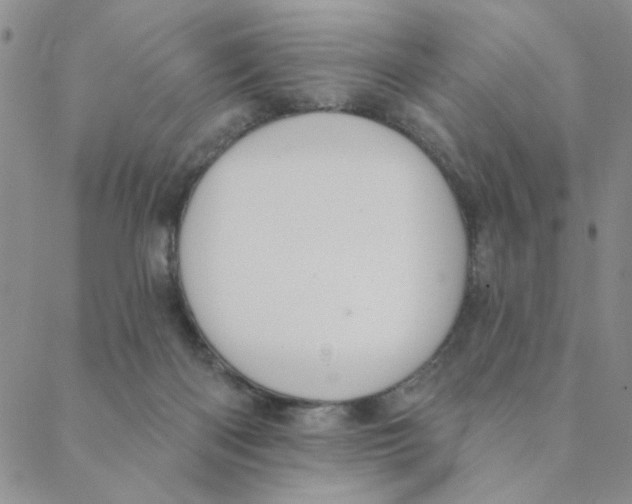 X0000088390122200706191342