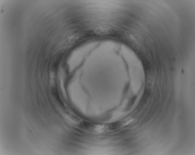 X0000088390130200706191342