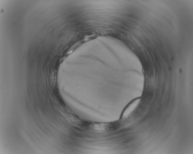 X0000088390134200706191342