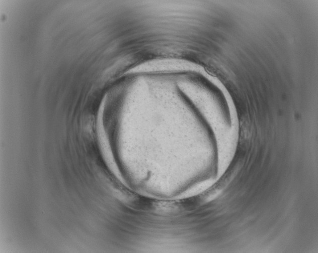 X0000088390141200706191342