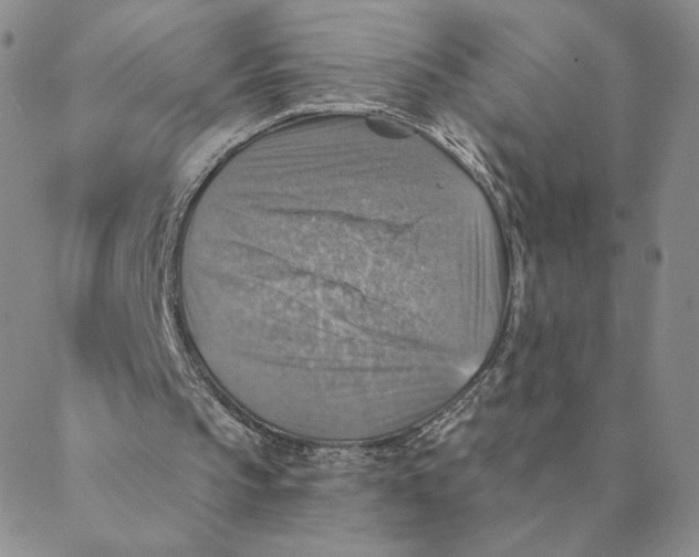 X0000088390145200706191341