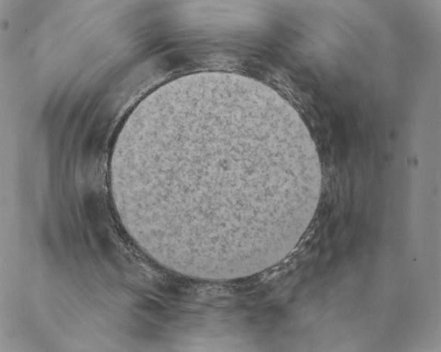 X0000088390146200706191341