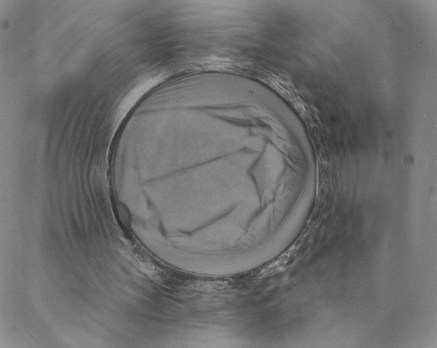 X0000088390147200706191341