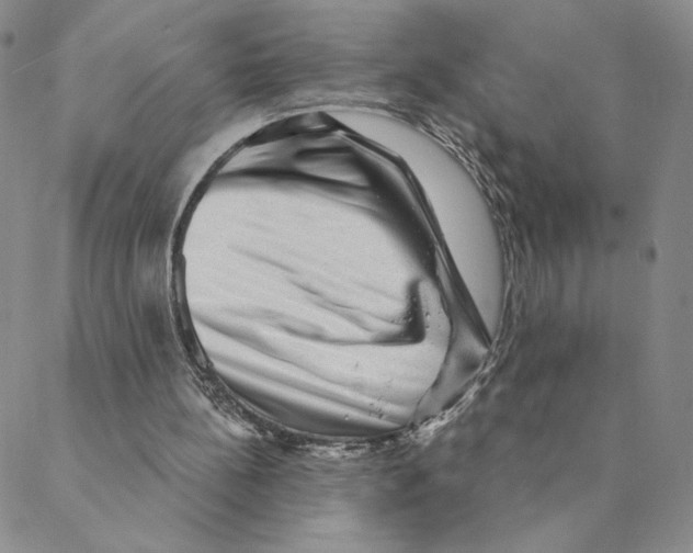 X0000088390148200706191341