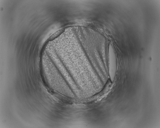 X0000088390150200706191341