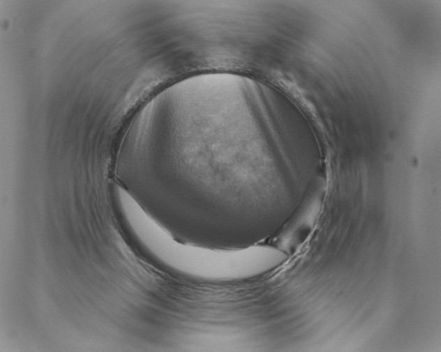 X0000088390154200706191341
