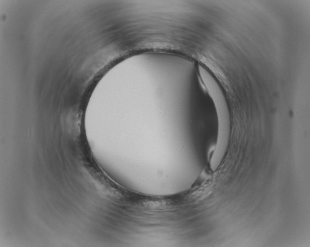 X0000088390160200706191341