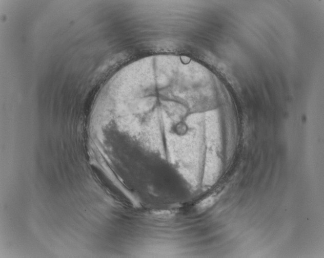 X0000088390161200706191341