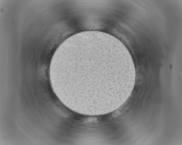 X0000088390162200706191341
