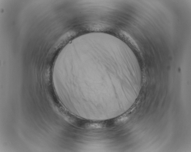 X0000088390163200706191341