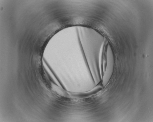 X0000088390164200706191341