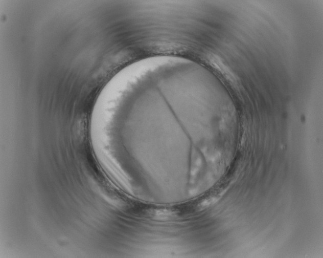 X0000088390165200706191341