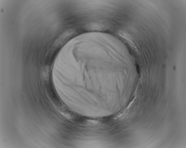 X0000088390167200706191341
