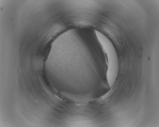 X0000088390168200706191341