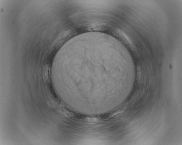X0000088390169200706191341