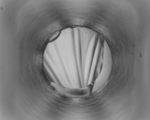 X0000088390172200706191341