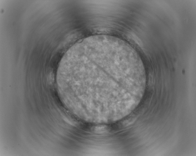 X0000088390173200706191341