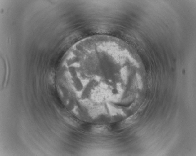 X0000088390175200706191341