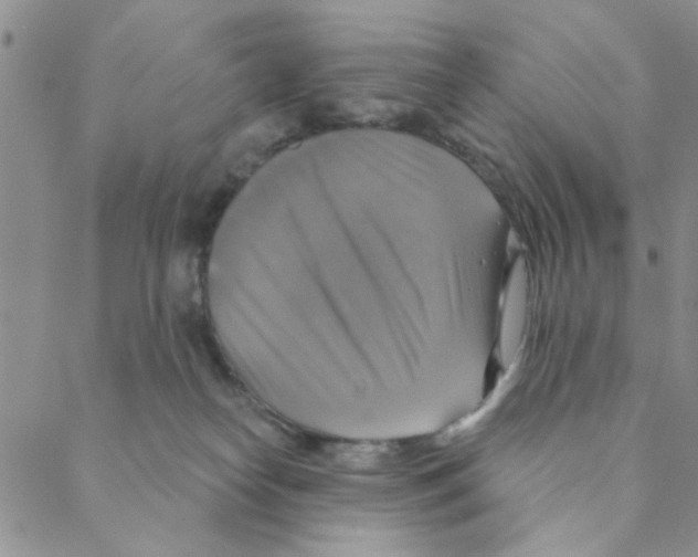 X0000088390182200706191342