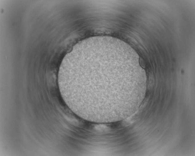 X0000088390183200706191342