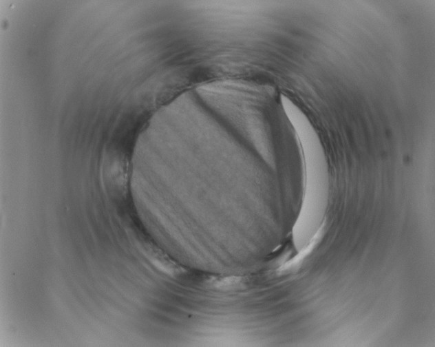 X0000088390186200706191342