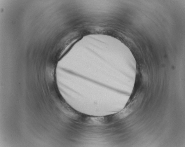 X0000088390188200706191342